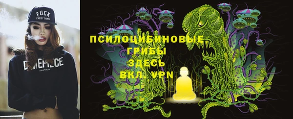 2c-b Липки