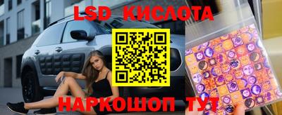 прущие крисы Берёзовский