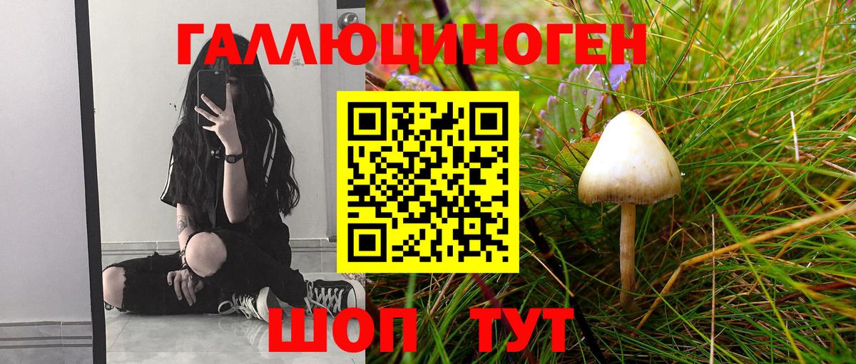 Галлюциногенные грибы мицелий Грязи