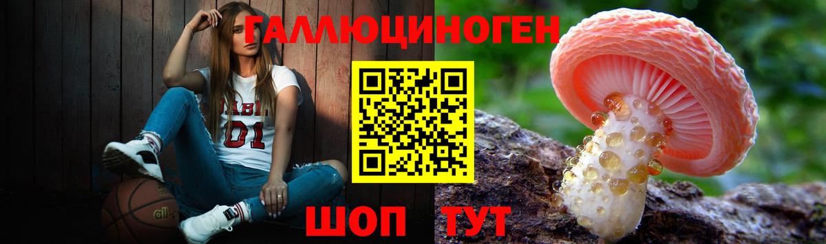 Галлюциногенные грибы Cubensis  Вход с VPN  Грязи 