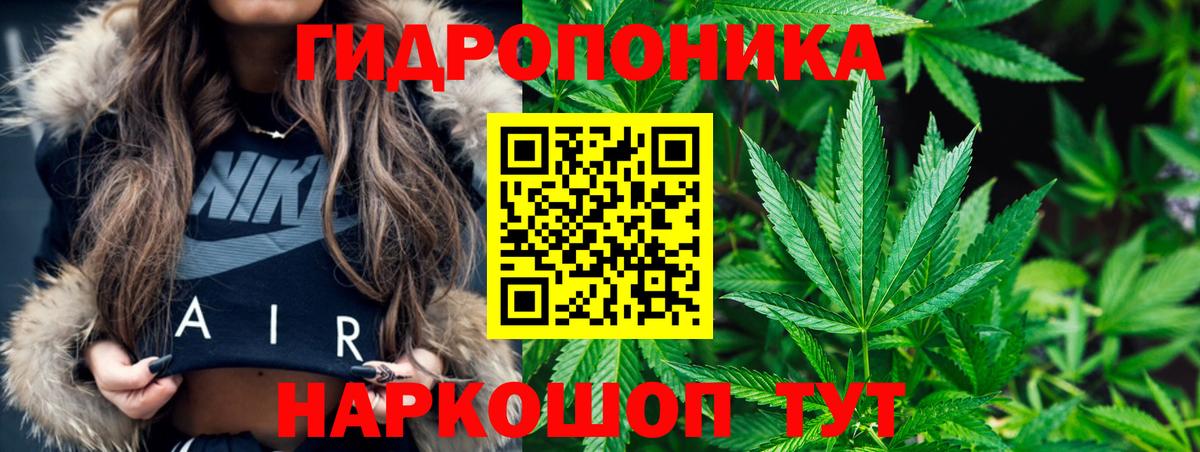 Бошки Шишки Bruce Banner  Шишки марихуана ГИДРОПОН  Грязи  Бошки марихуана сатива  Шишки марихуана VHQ  Вход с VPN 