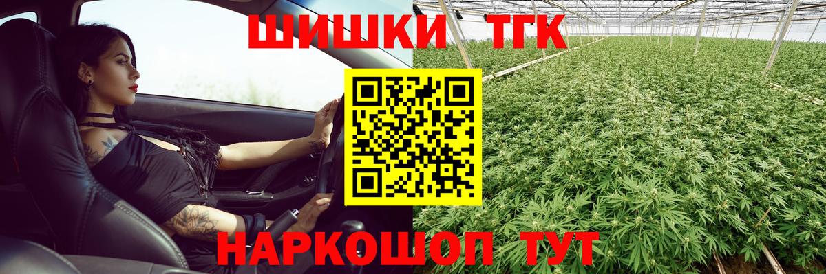 Канабис семена  Грязи  Конопля MAZAR  Шишки марихуана Amnesia 